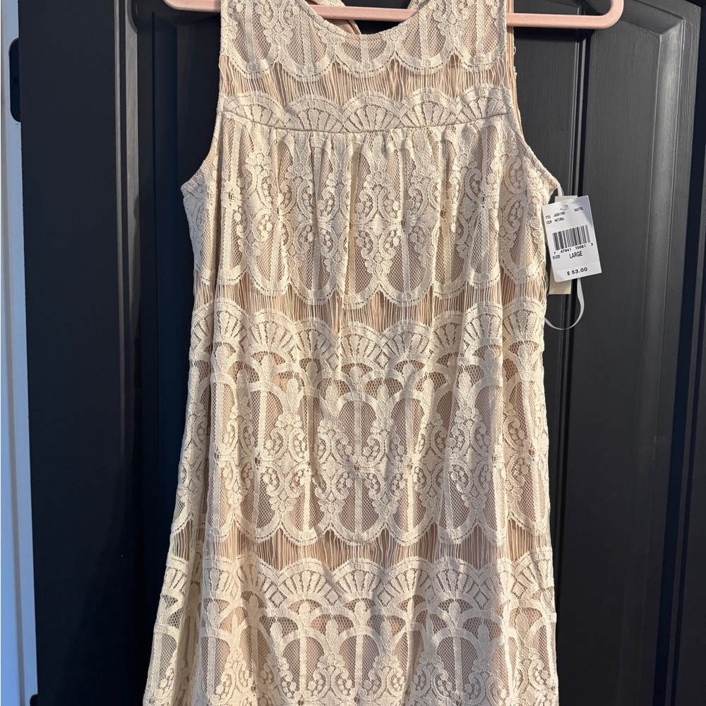 Chic Lace Dress in Cream